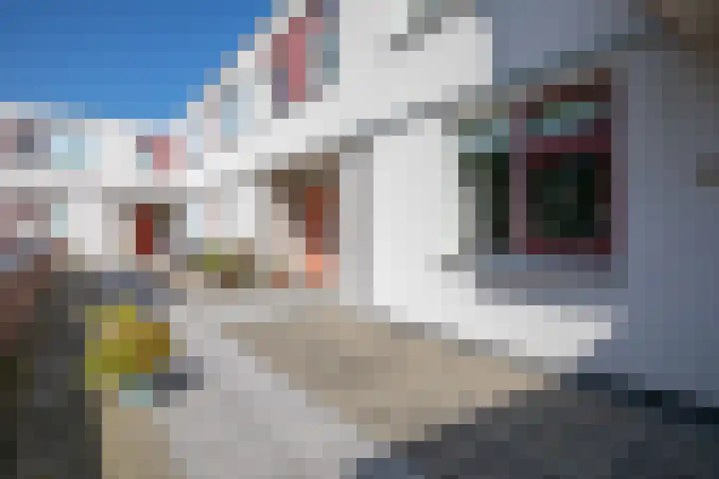 De Bus 26 Waalre thumbnail 35