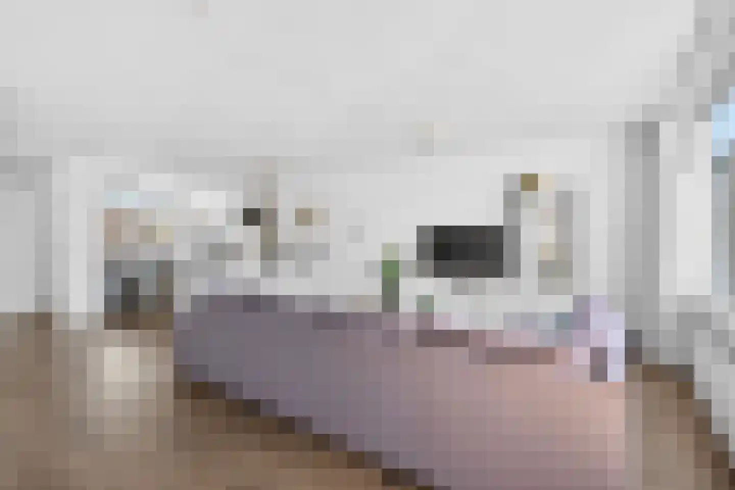 De Bus 31 Waalre thumbnail 10