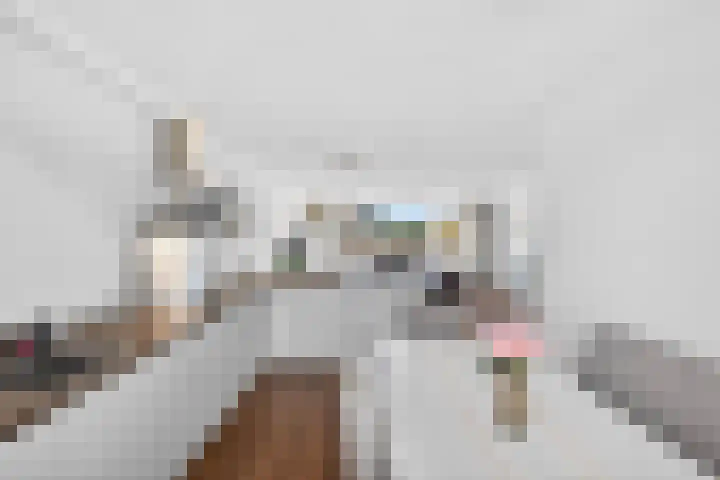 De Bus 31 Waalre thumbnail 16