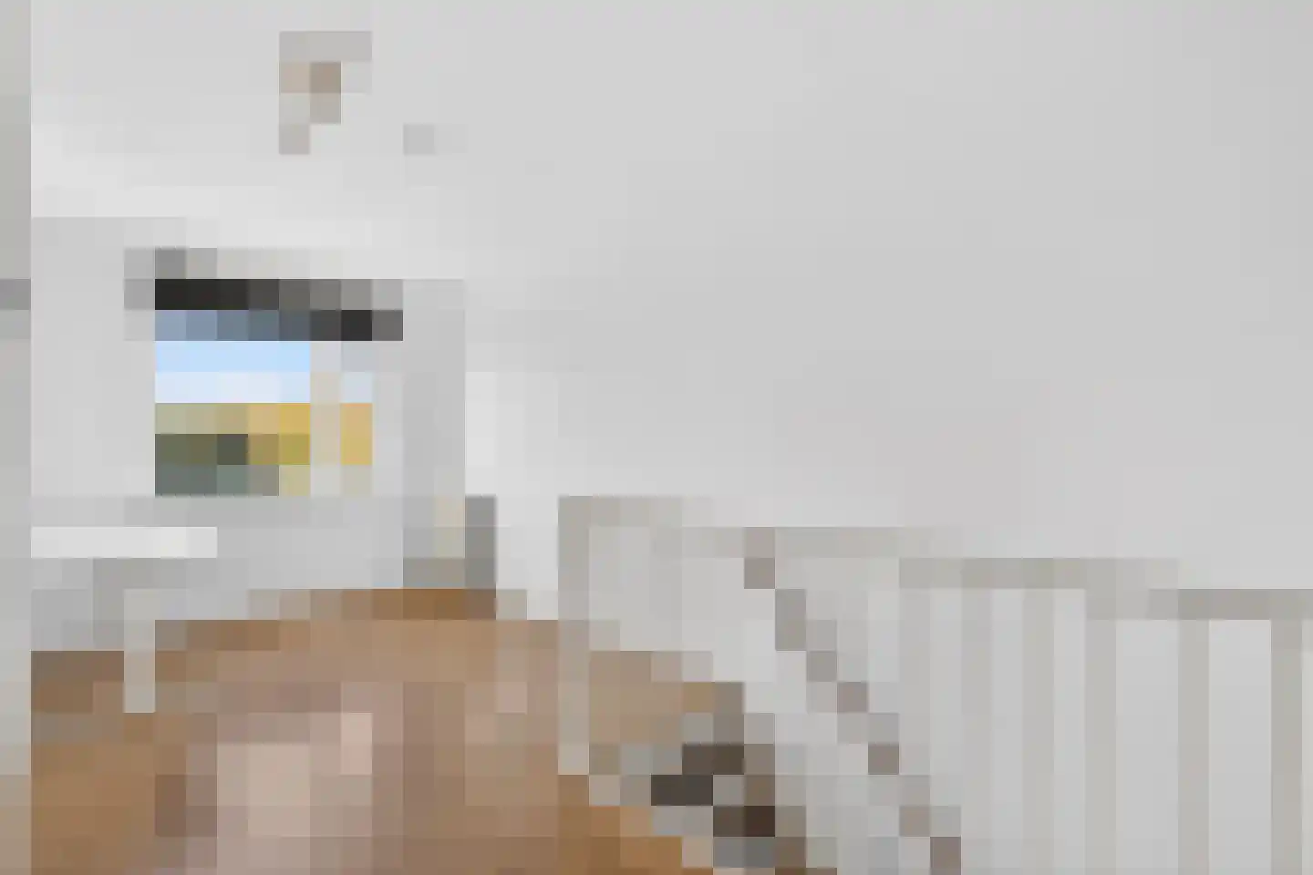 De Bus 31 Waalre thumbnail 26