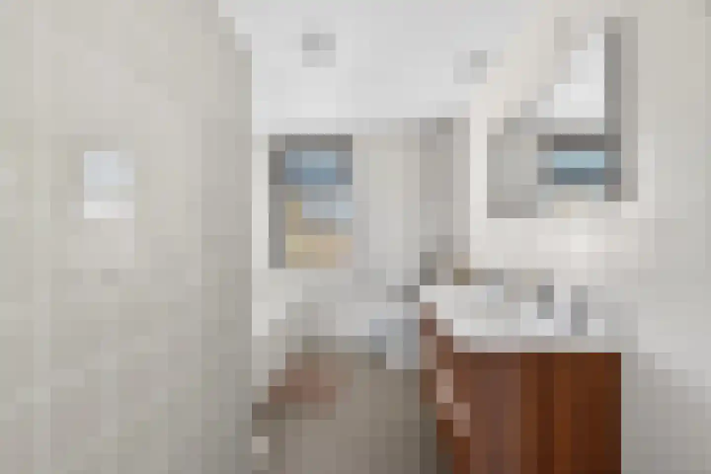 De Bus 31 Waalre thumbnail 29