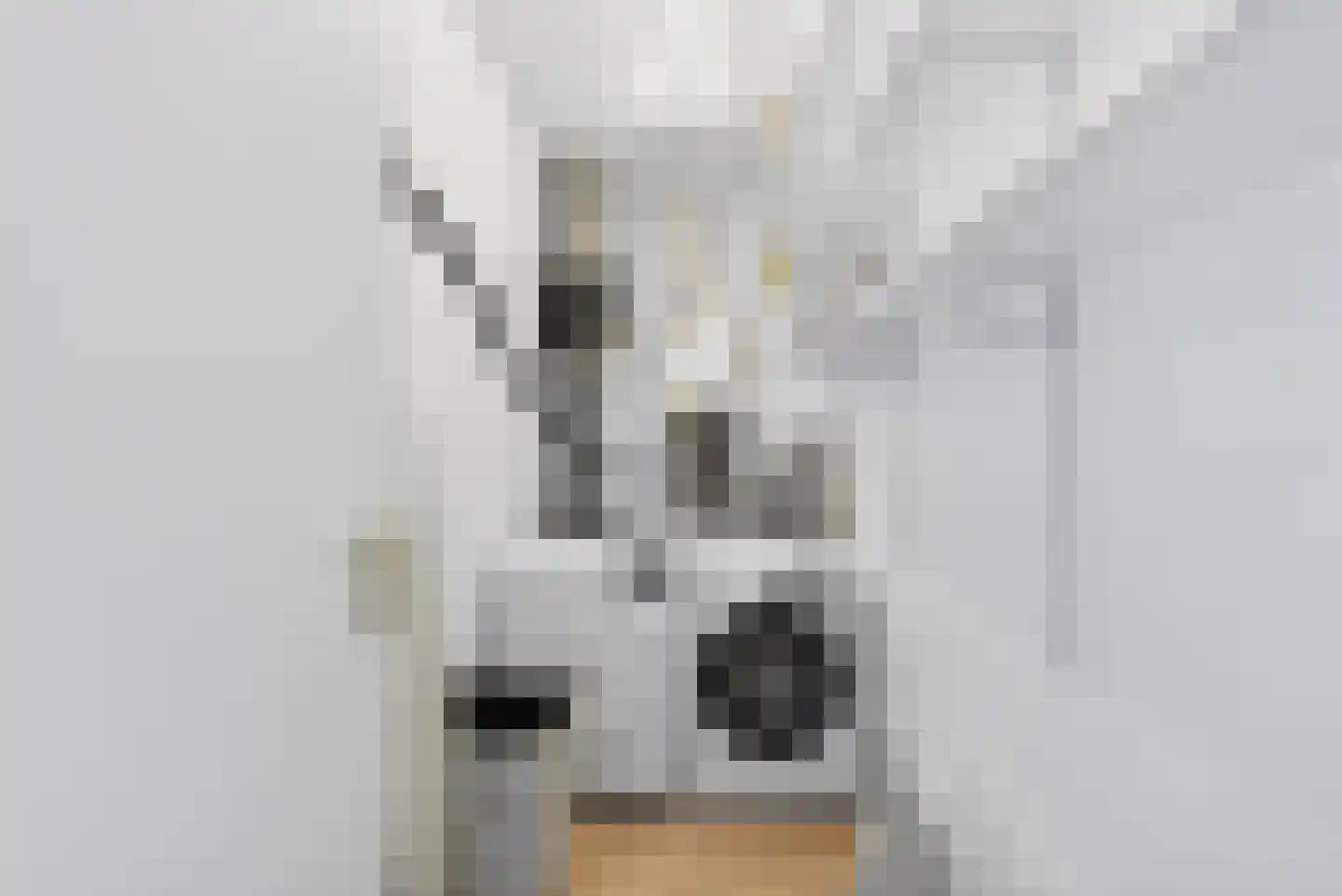 De Bus 31 Waalre thumbnail 36