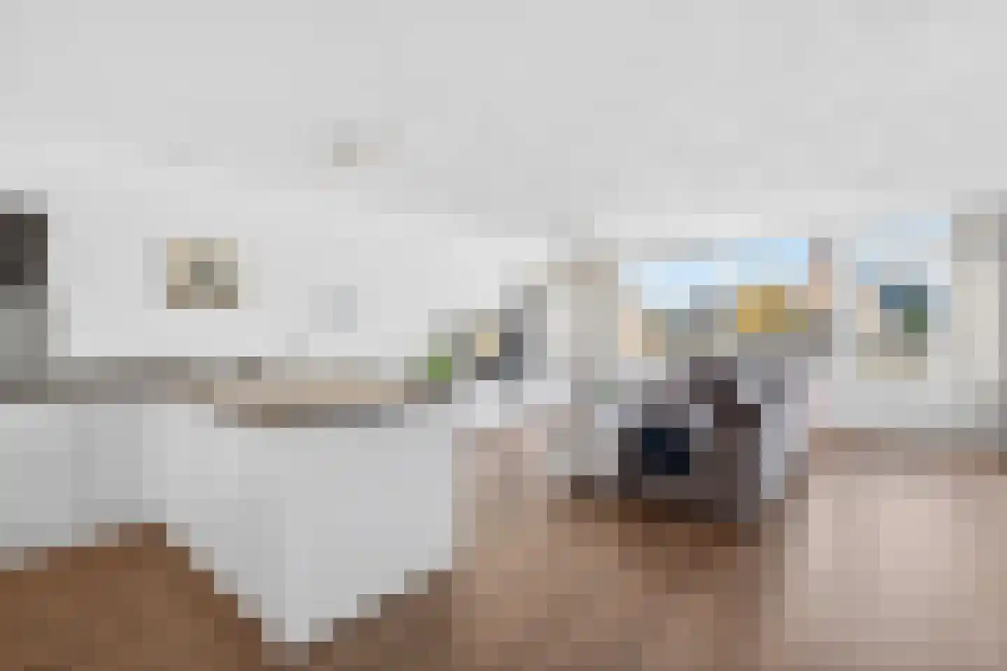 De Bus 31 Waalre thumbnail 8