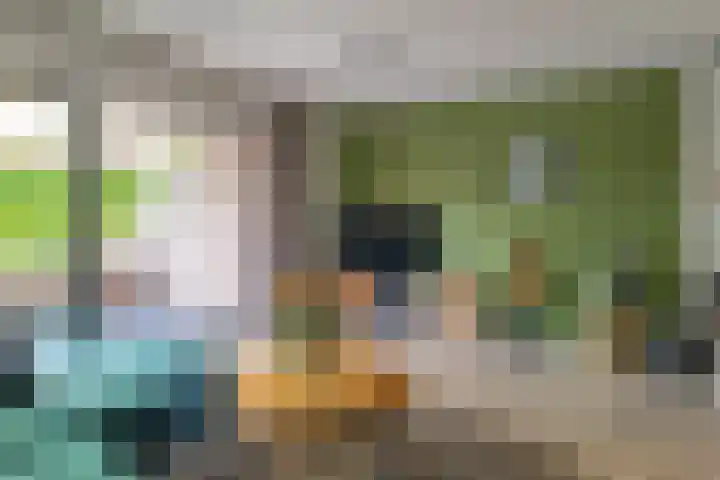 De Bus 9 Waalre thumbnail 10