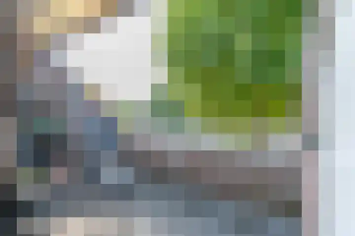 De Bus 9 Waalre thumbnail 11
