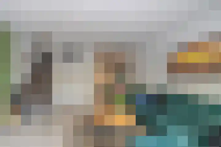 De Bus 9 Waalre thumbnail 12