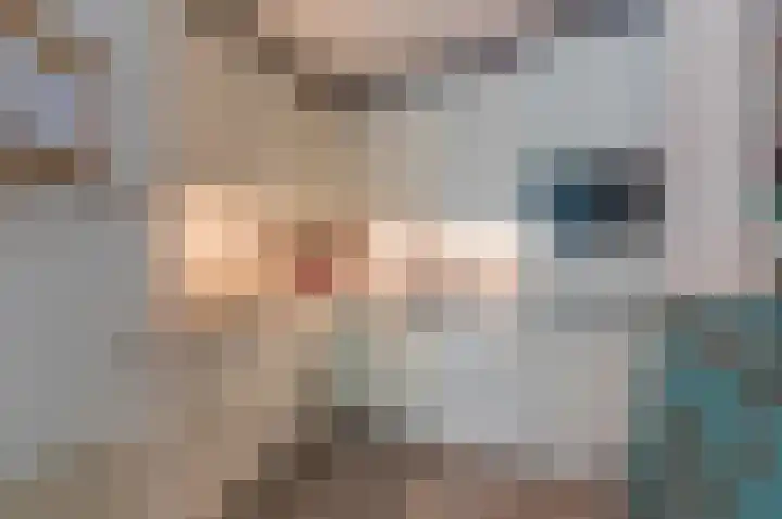 De Bus 9 Waalre thumbnail 13