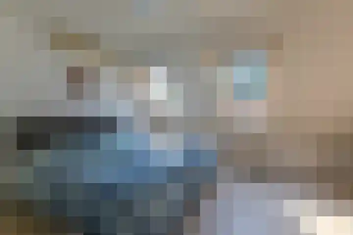 De Bus 9 Waalre thumbnail 17