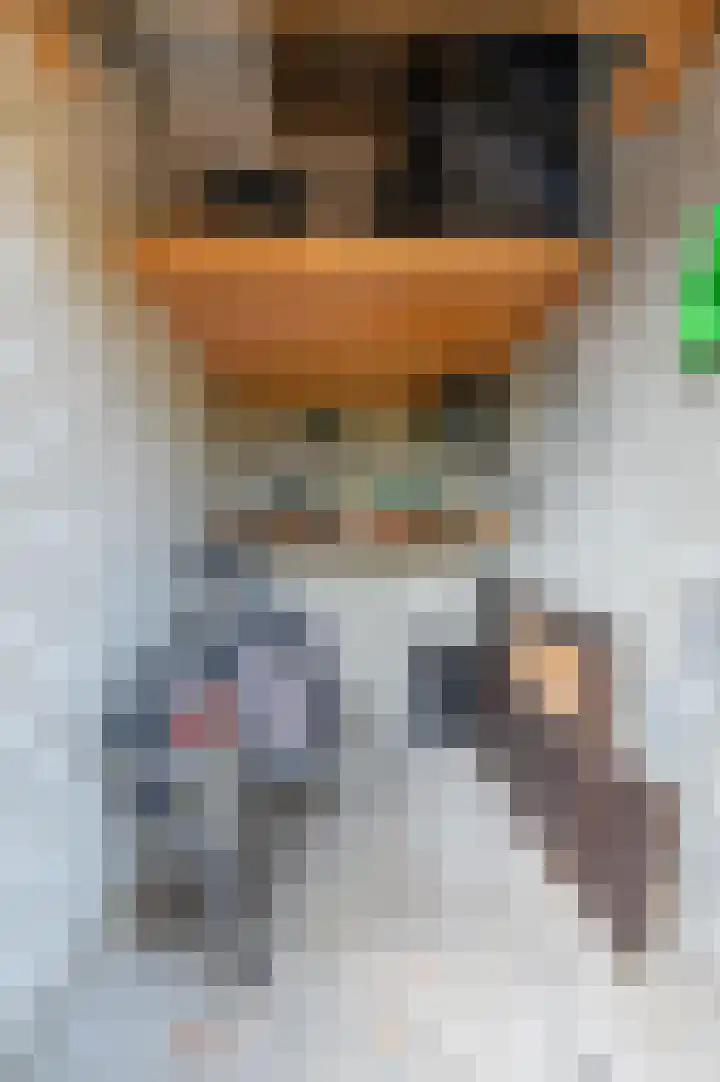 De Bus 9 Waalre thumbnail 21