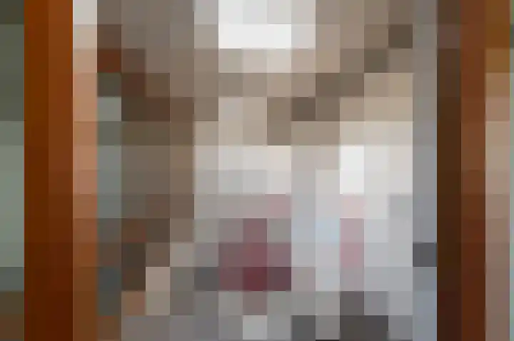 De Bus 9 Waalre thumbnail 4