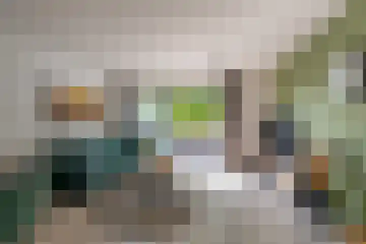 De Bus 9 Waalre thumbnail 9