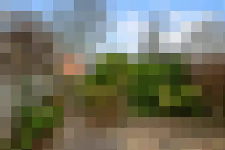 De Busken 19 Assendelft thumbnail 16
