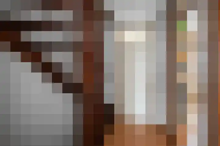 De Busken 19 Assendelft thumbnail 30