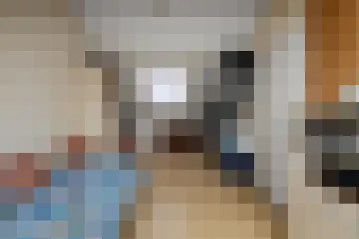 De Busken 19 Assendelft thumbnail 35