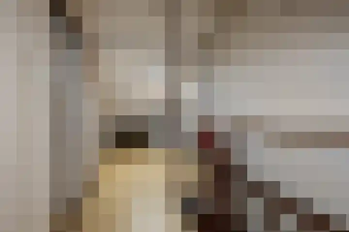 De Busken 19 Assendelft thumbnail 37