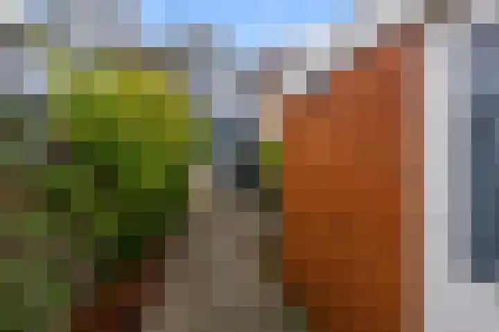 De Busken 19 Assendelft thumbnail 39