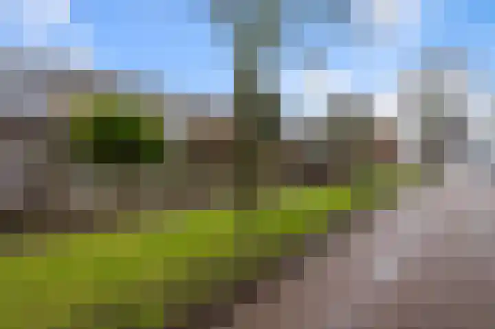 De Busken 19 Assendelft thumbnail 42