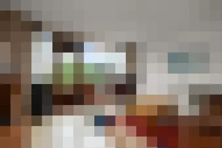 De Busken 19 Assendelft thumbnail 5