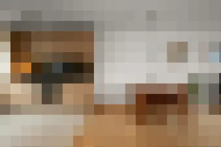De Busken 19 Assendelft thumbnail 8