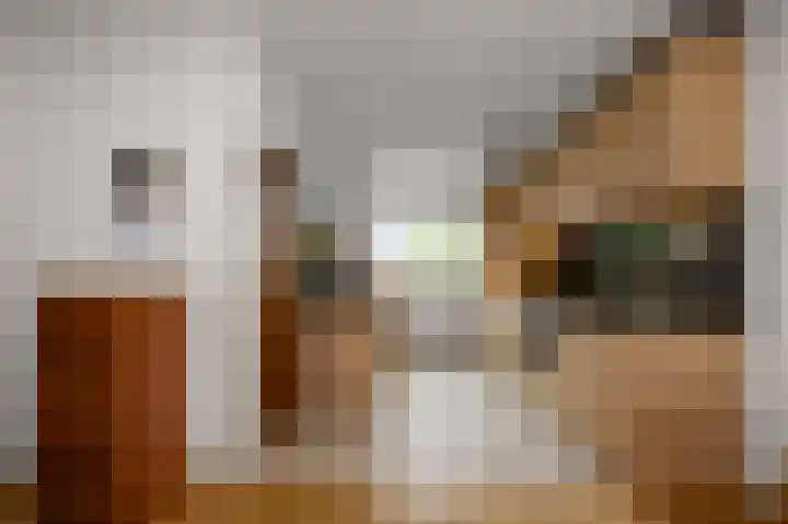 De Busken 19 Assendelft thumbnail 9