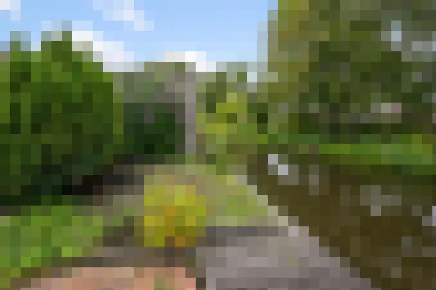 De Busken 35 Assendelft thumbnail 13