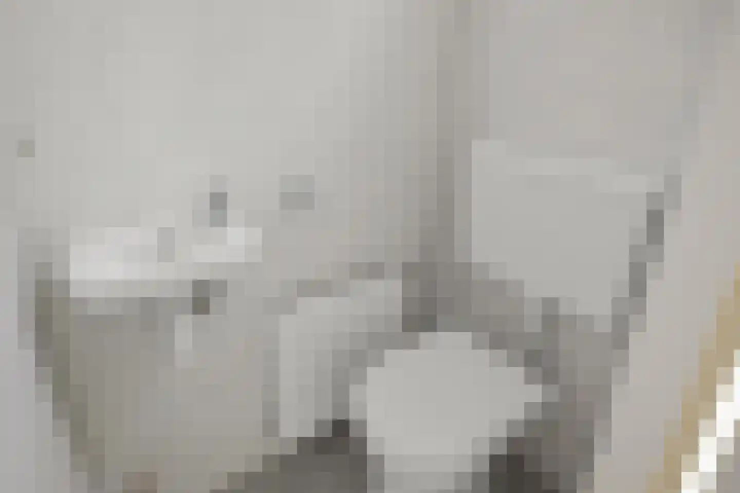 De Busken 35 Assendelft thumbnail 14