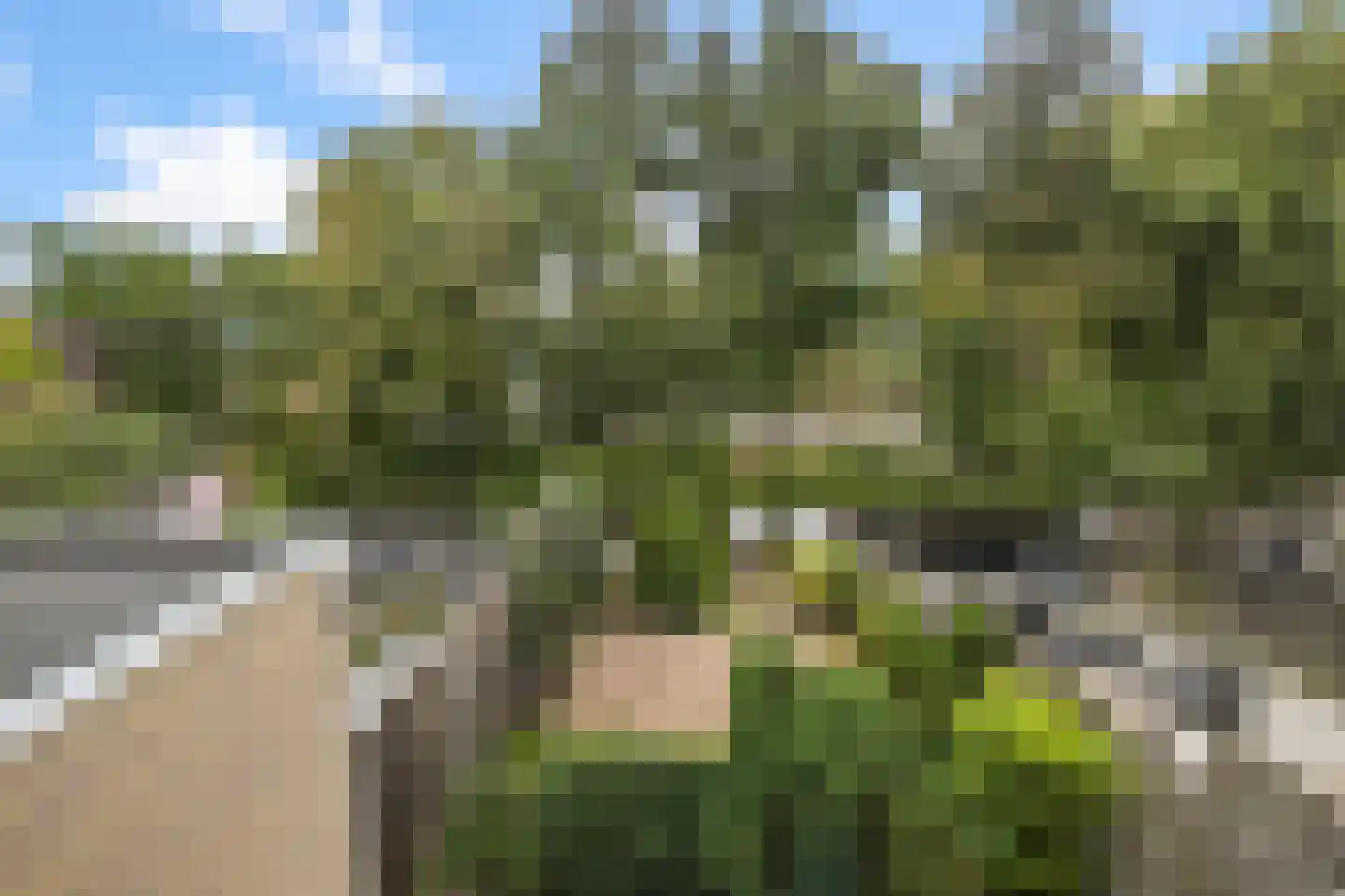 De Busken 35 Assendelft thumbnail 33