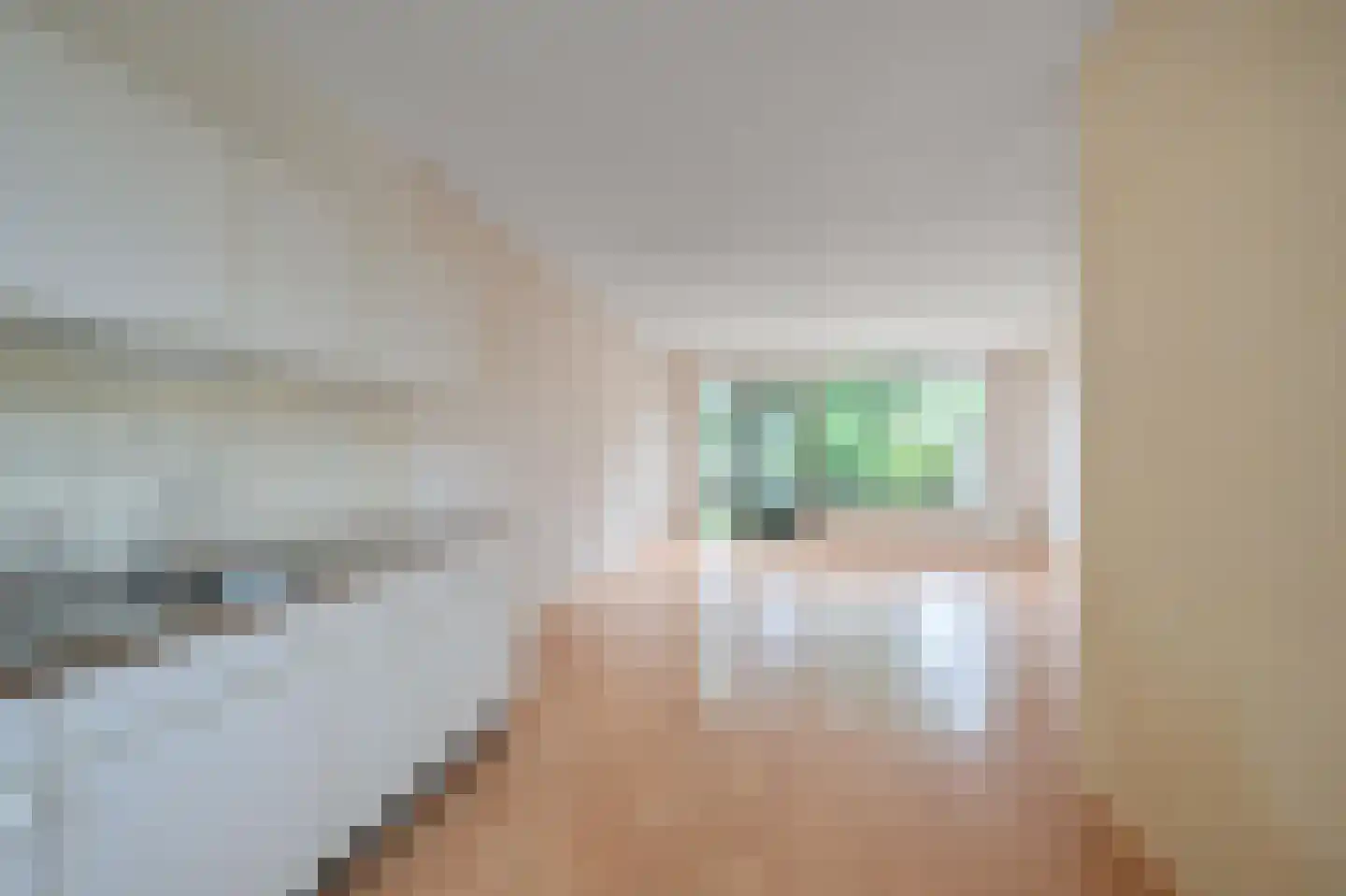 De Busken 35 Assendelft thumbnail 8