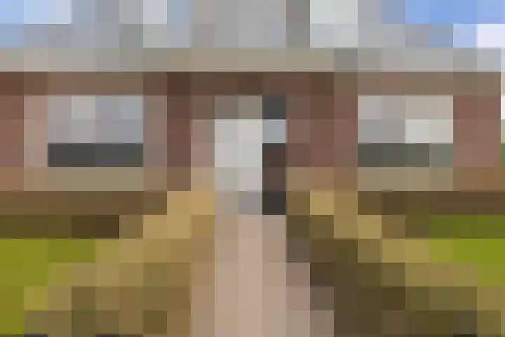 De Bûterblom 2 De Westereen thumbnail 10