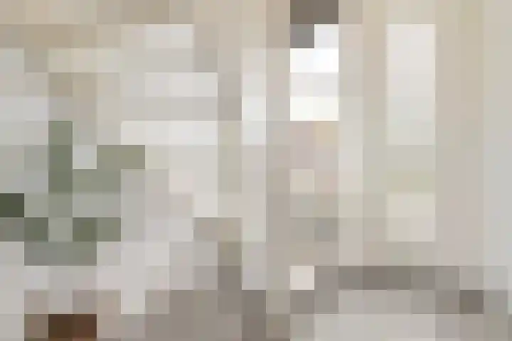 De Bûterblom 2 De Westereen thumbnail 11