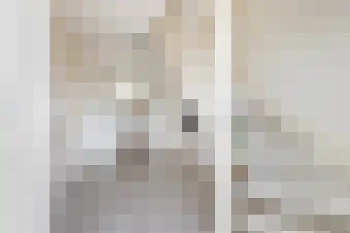 De Bûterblom 2 De Westereen thumbnail 15