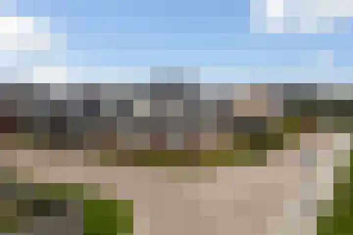 De Bûterblom 2 De Westereen foto 2