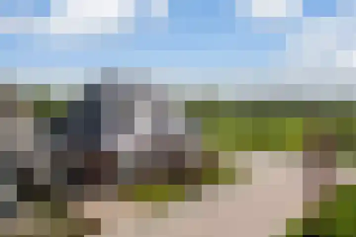 De Bûterblom 2 De Westereen thumbnail 5