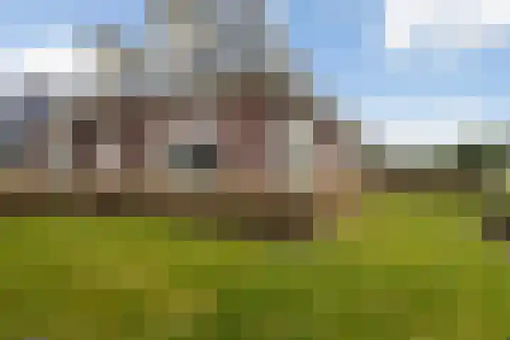 De Bûterblom 2 De Westereen thumbnail 6