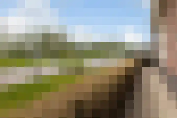 De Bûterblom 2 De Westereen thumbnail 8