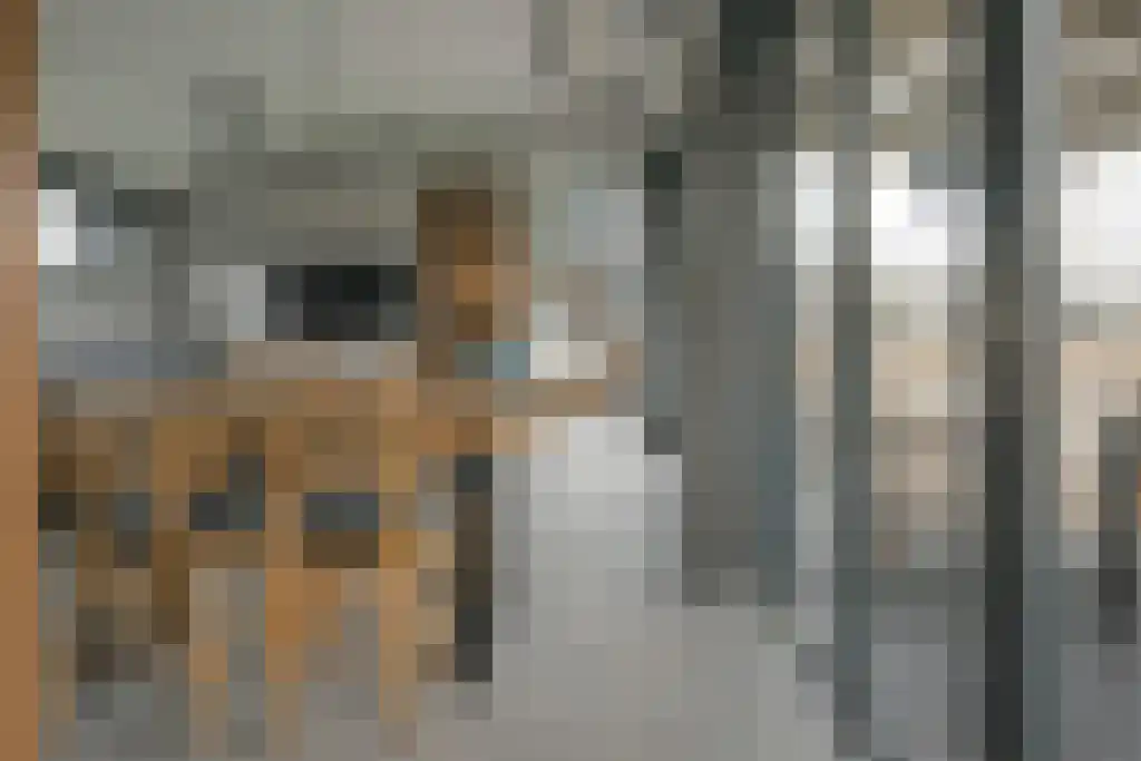 De Bûtertonne 38 Delfstrahuizen thumbnail 10