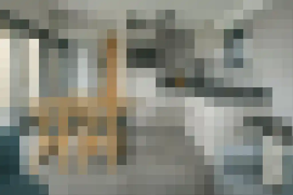 De Bûtertonne 38 Delfstrahuizen thumbnail 10