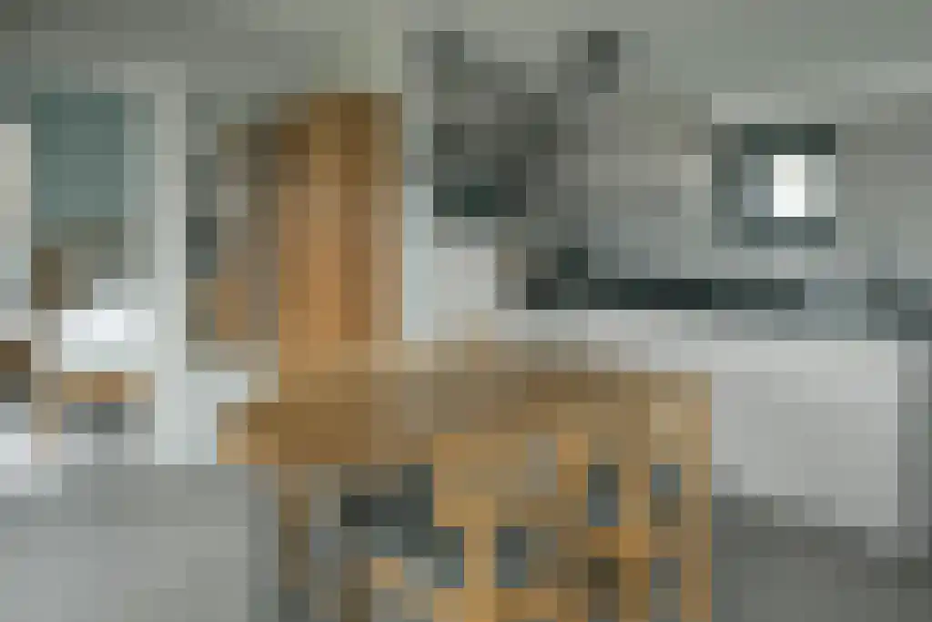 De Bûtertonne 38 Delfstrahuizen thumbnail 11