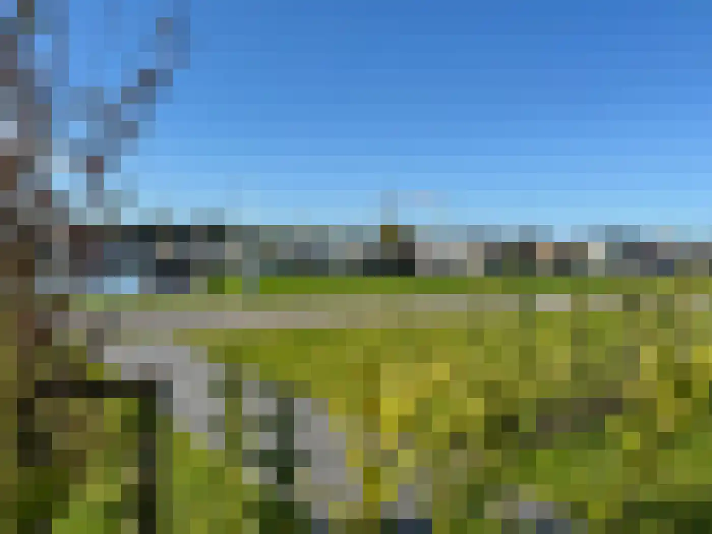 De Bûtertonne 38 Delfstrahuizen thumbnail 17