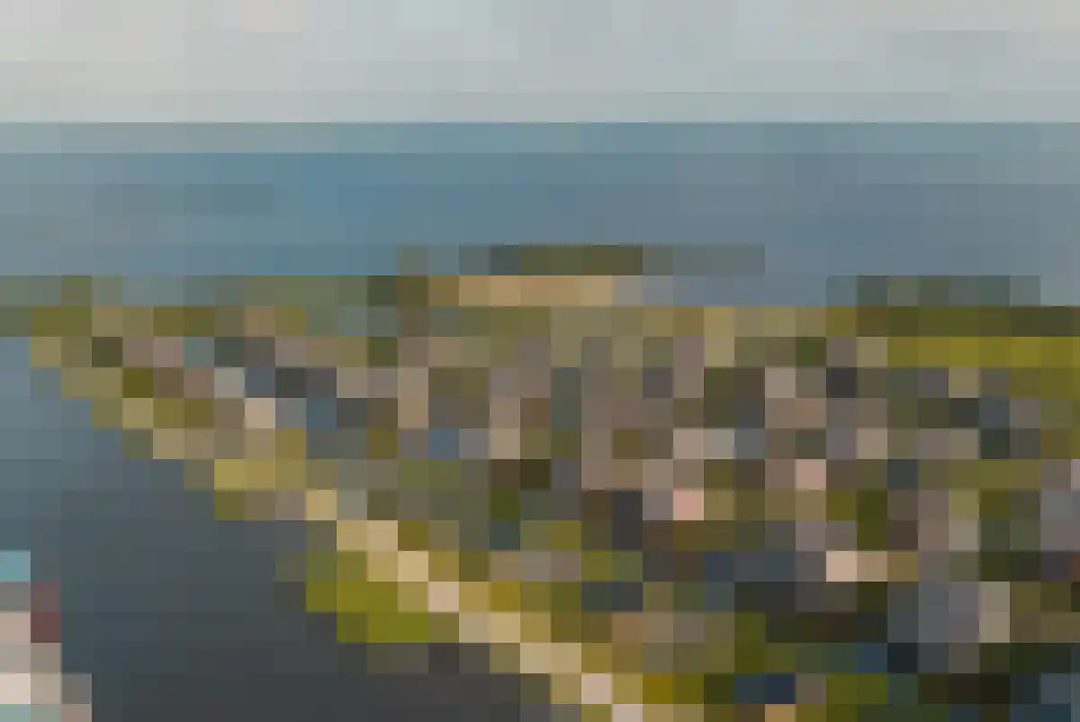 De Bûtertonne 38 Delfstrahuizen thumbnail 22