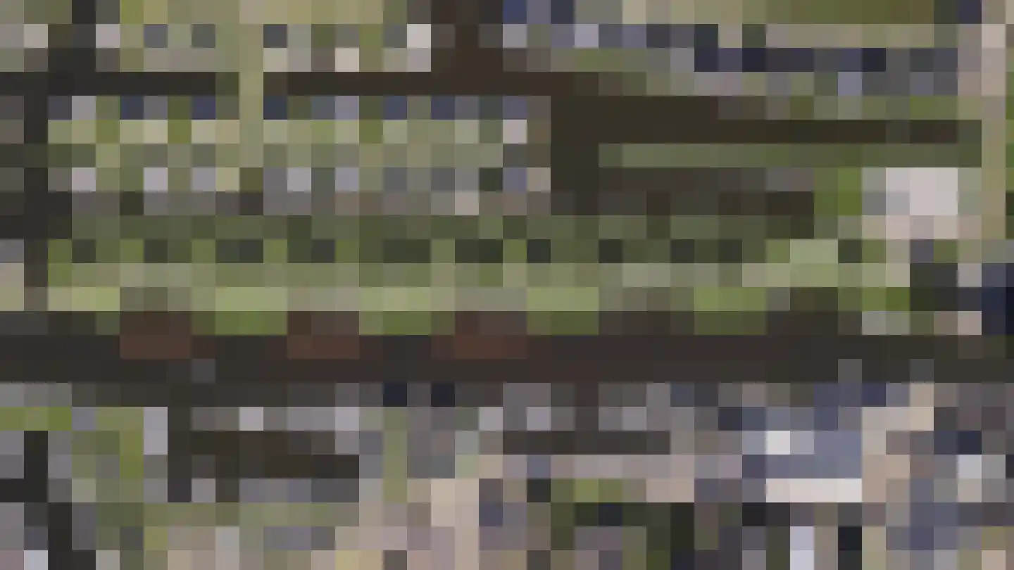 De Bûtertonne 38 Delfstrahuizen thumbnail 23