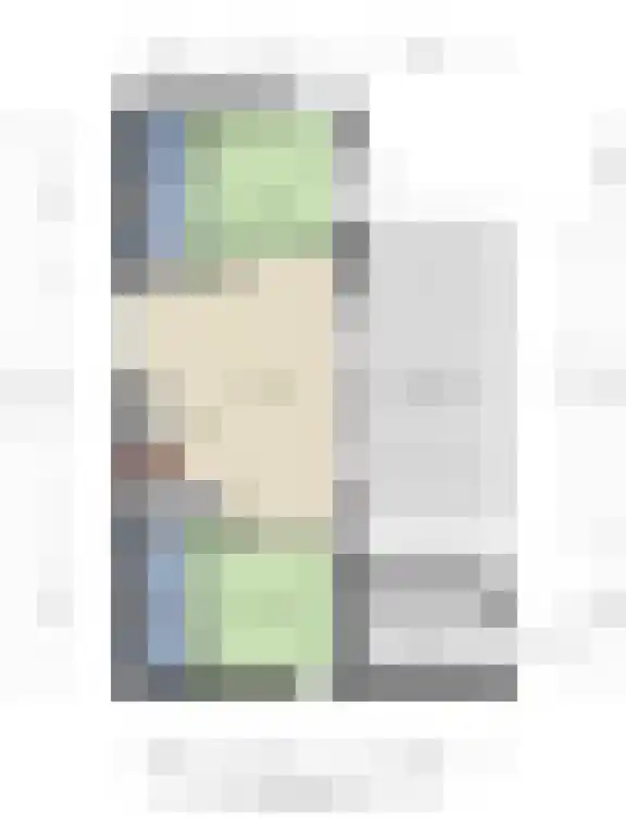 De Bûtertonne 38 Delfstrahuizen thumbnail 26