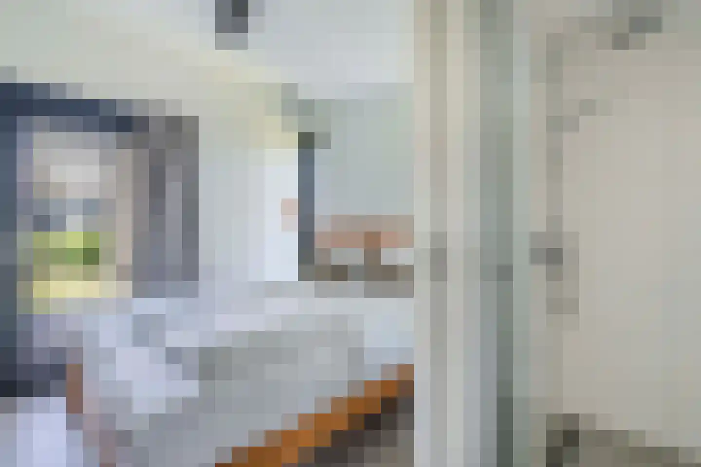 De Bûtertonne 48 Delfstrahuizen thumbnail 12