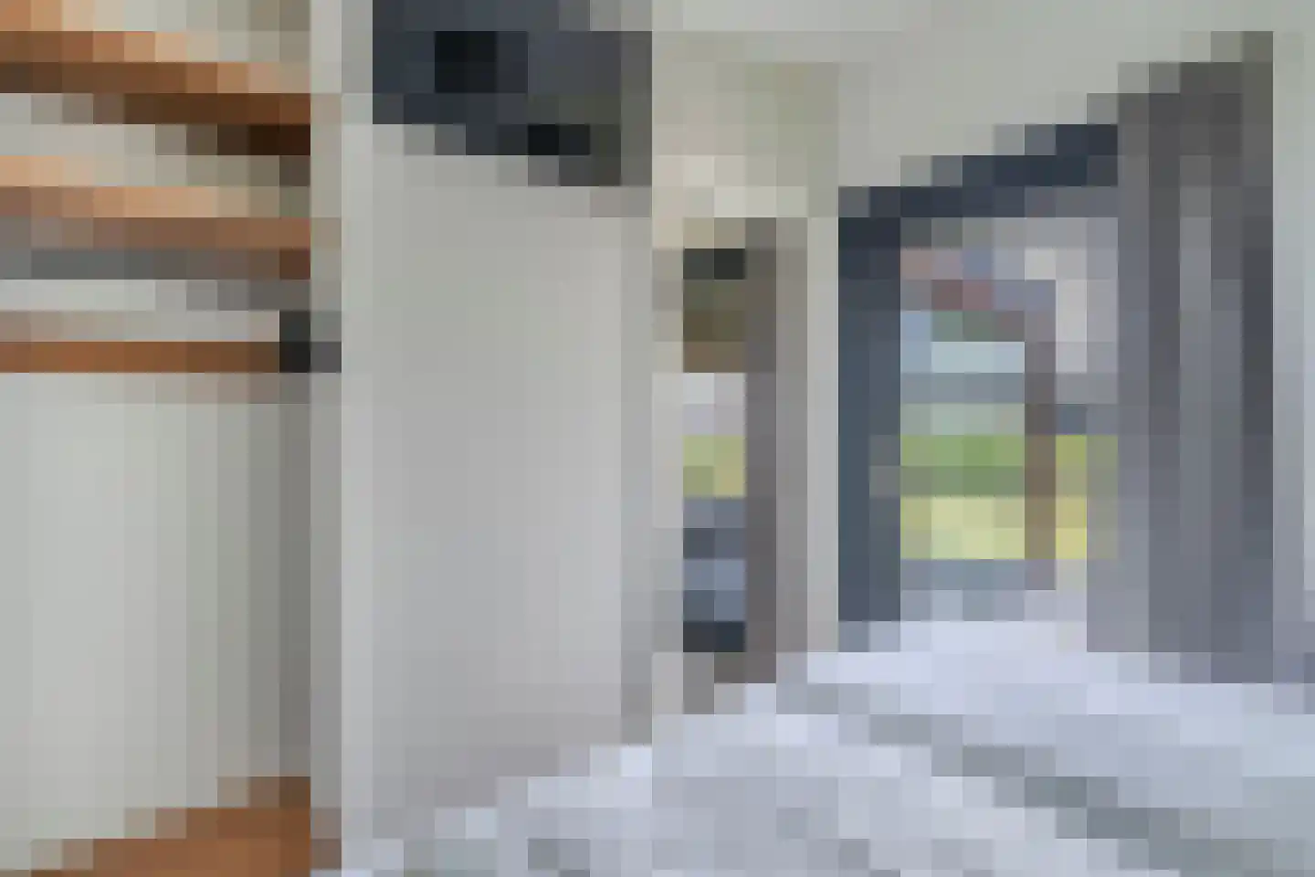 De Bûtertonne 48 Delfstrahuizen thumbnail 13