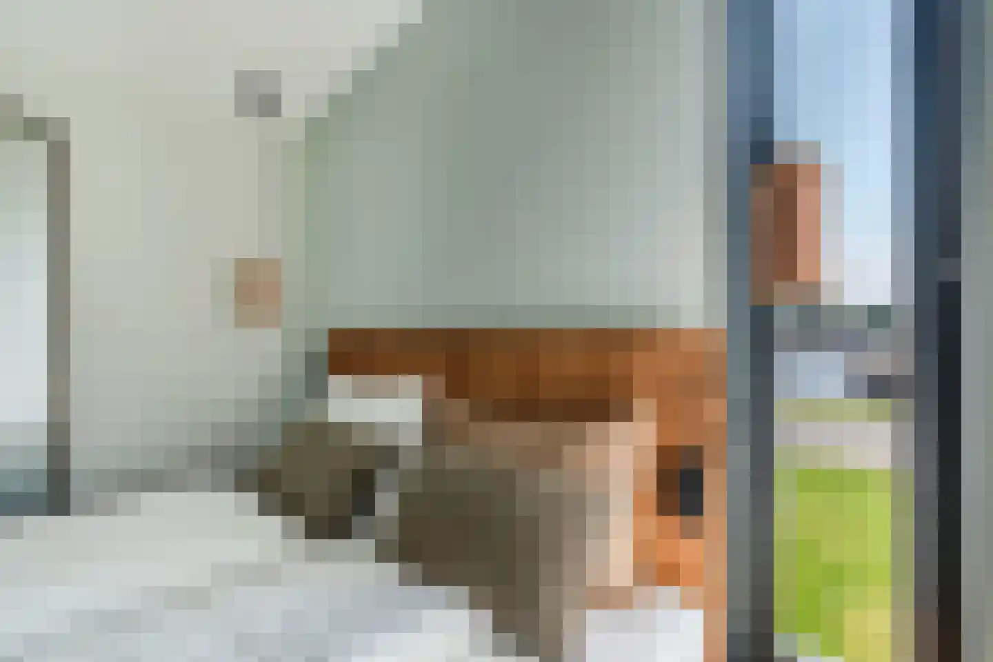 De Bûtertonne 48 Delfstrahuizen thumbnail 21