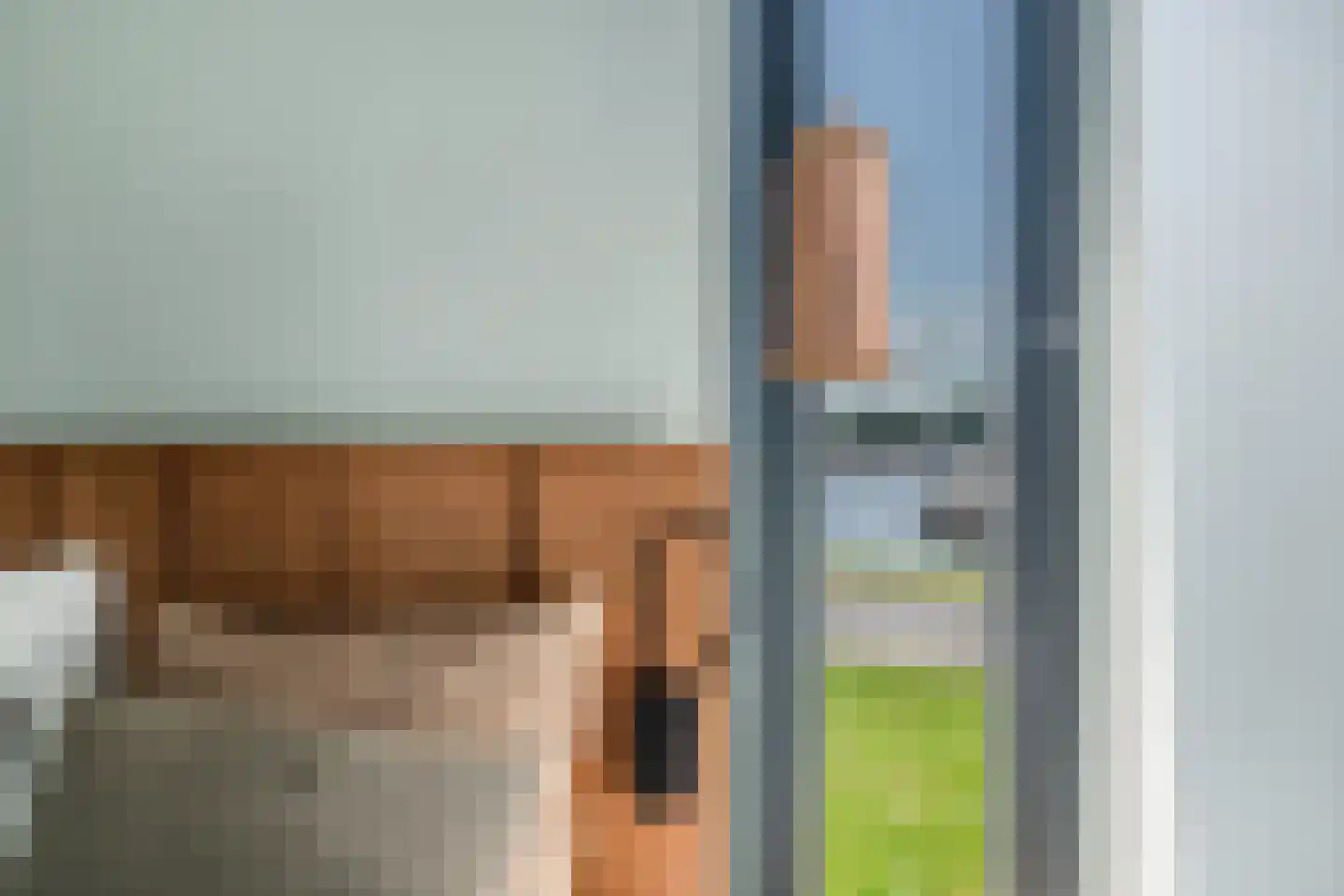 De Bûtertonne 48 Delfstrahuizen thumbnail 22