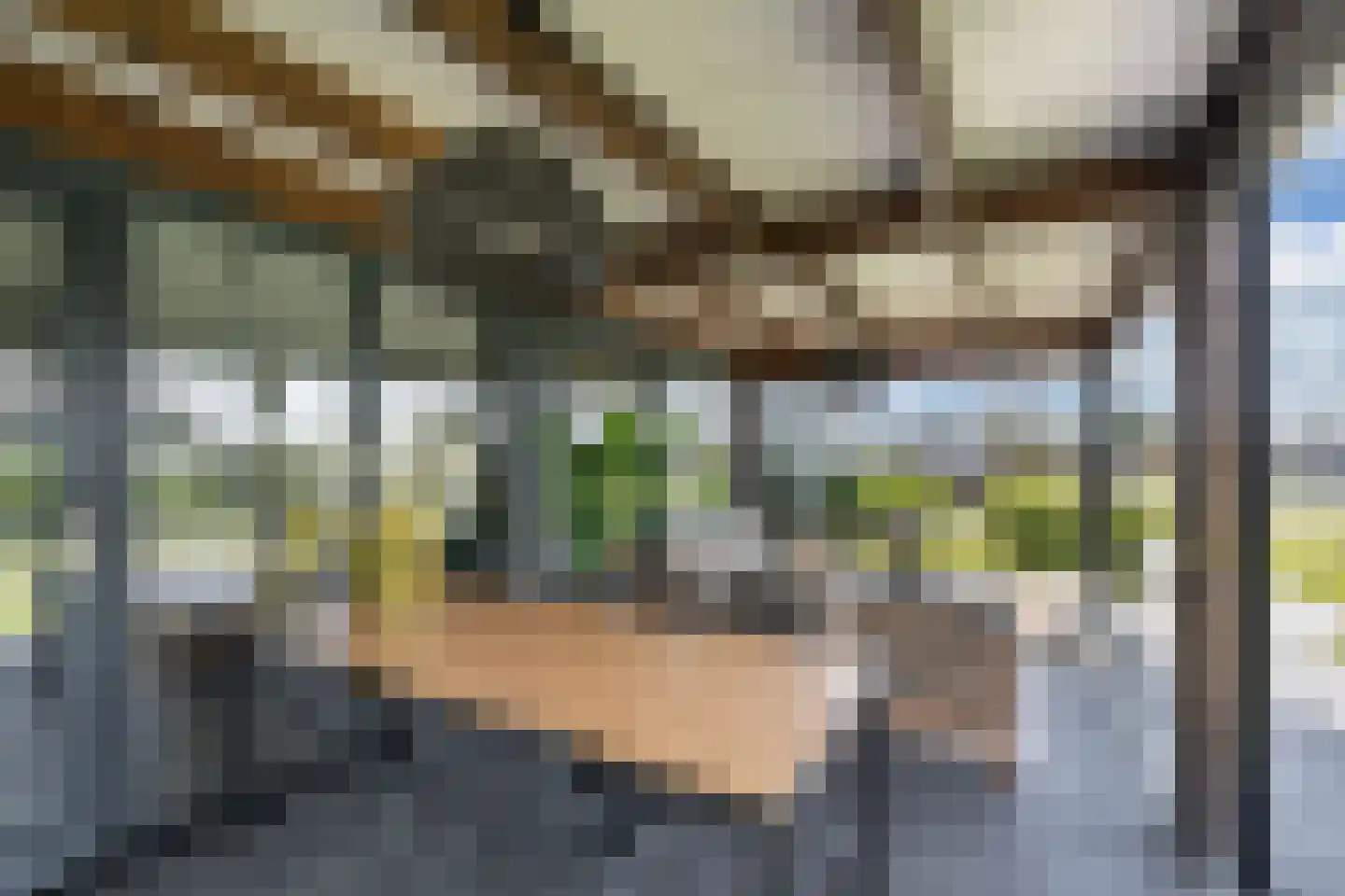 De Bûtertonne 48 Delfstrahuizen thumbnail 29