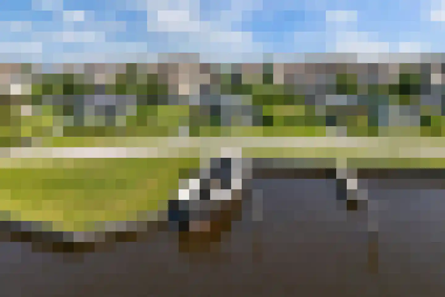 De Bûtertonne 48 Delfstrahuizen thumbnail 44