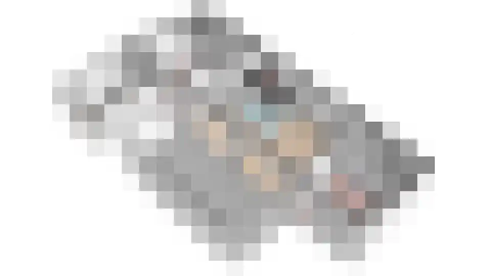 De Bûtertonne 48 Delfstrahuizen thumbnail 50