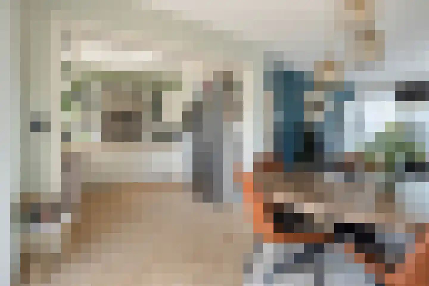 de Butstraat 21 Hulst thumbnail 10